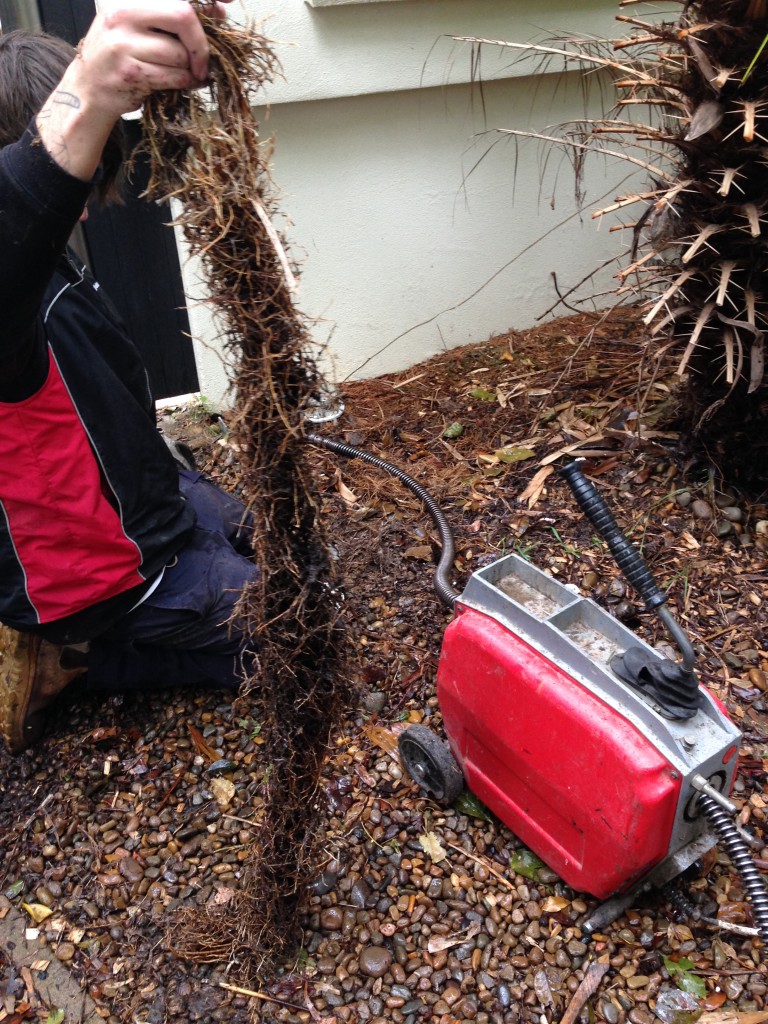 Blockage Gladesville Plumbing