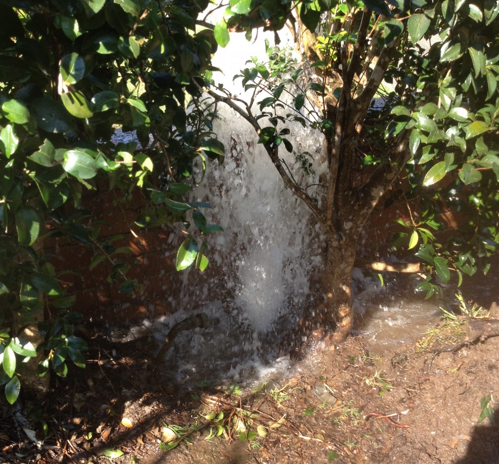 Gladesville Plumbing Emergency