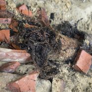 Blocked Drains? Sydney Is Notorious – Get Help Here!