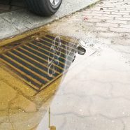 What Causes A Blocked Storm Water Drain & What Should I Do About It?