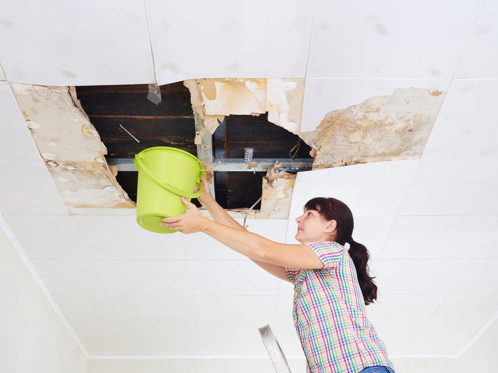 Young Woman Collecting Water In Bucket From Ceiling. Ceiling pan