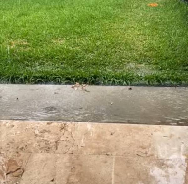 Backyard Drainage