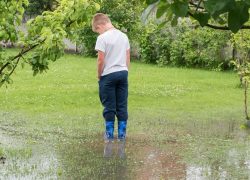 Flood prone yards can be managed with good drainage