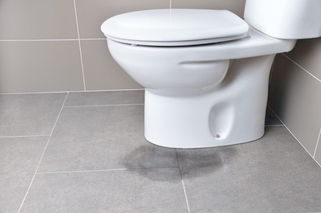 Toilet leak - this can be the cause of bathroom smells