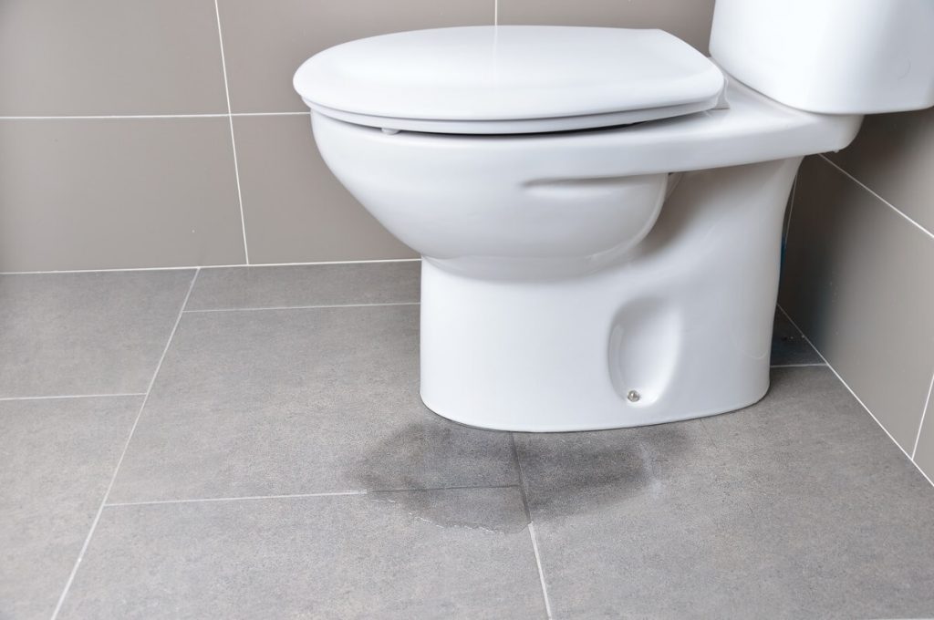 Feb24 Bathroom Smells Like Pee Toilet leak - this can be the cause of bathroom smells