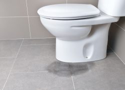 Toilet leak - this can be the cause of bathroom smells