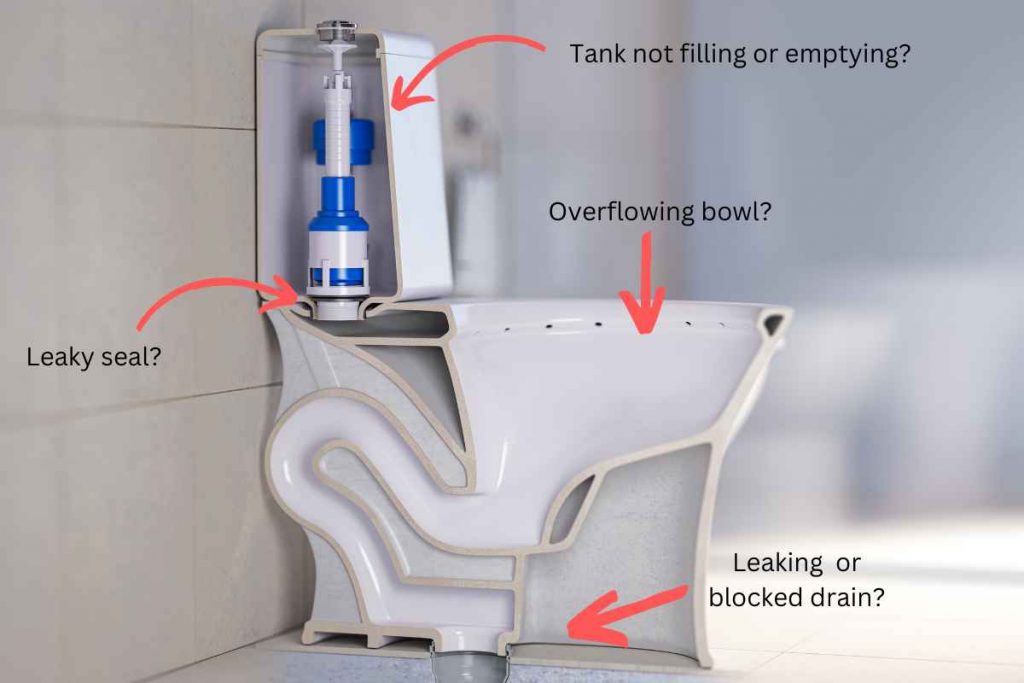Toilet Troubles When Do You Need Emergency Toilet Repair?