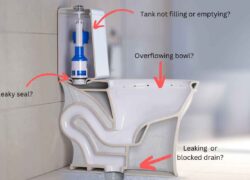 Emergency toilet repairs. Blocked and leaky toilets.